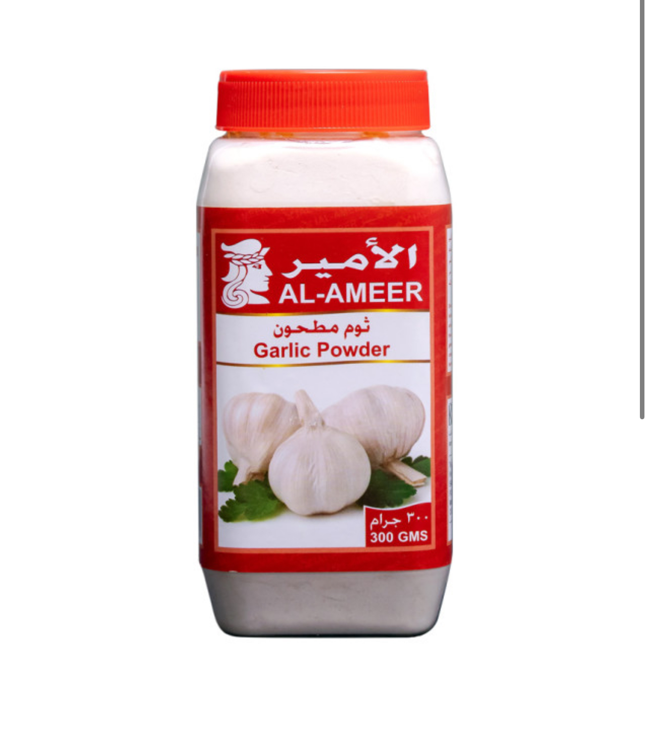 Al-Ameer Garlic Powder 300g X 6