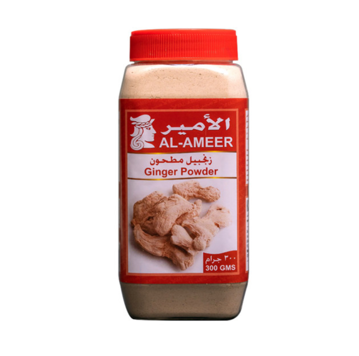Al-Ameer Ginger Powder 300g X 6